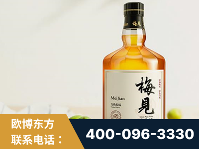 永康-梅见青梅酒